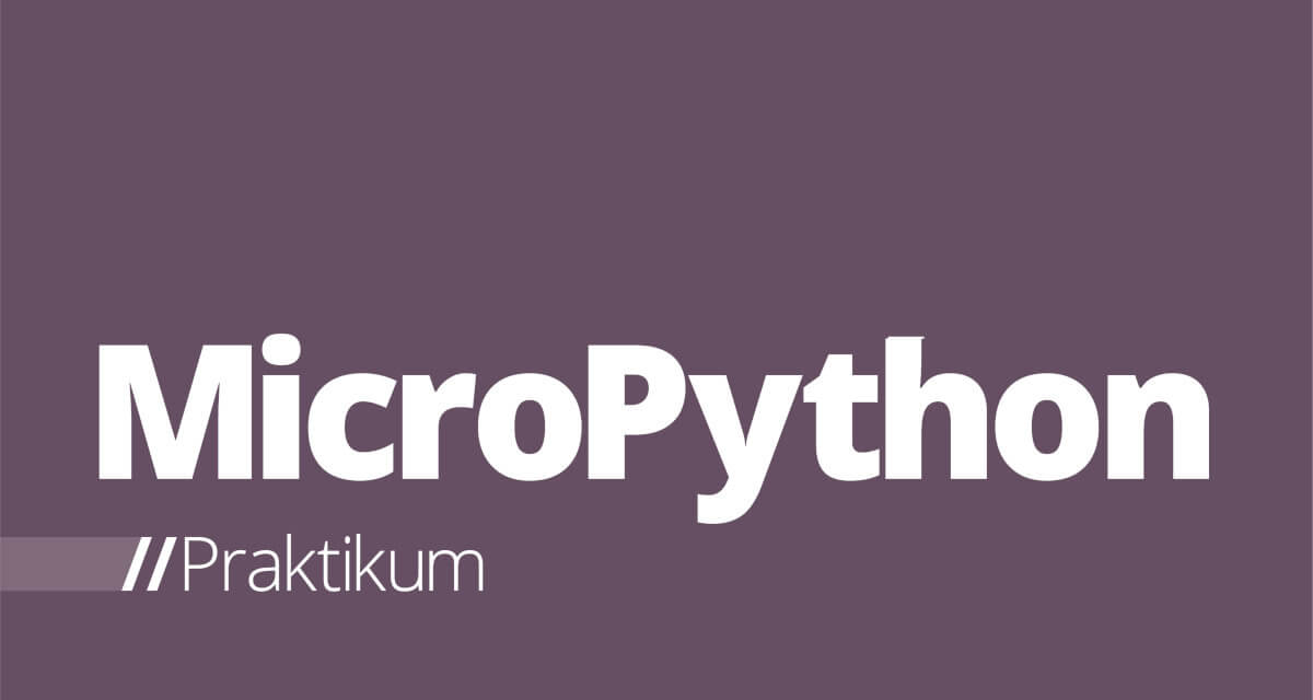 MicroPython – Praktikum 1: Erstellen eines Projekts